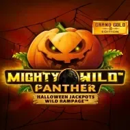 Mighty Wild Panther